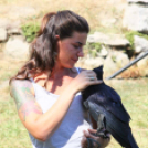  Szigetköz ízei, Vármegye borai Fesztivál 2. nap (Fotó: Stipkovits Veronika, Bánhegyi István)