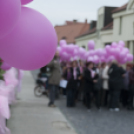 Egészség Hídja Összefogás - Lajtahidi séta