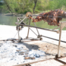 Ökör sütés az Englernél (Fotó: Nagy Mária)