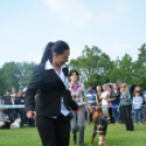 CAC kutyakiállítás (Fotó: Nagy Mária)