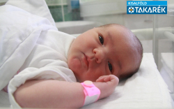 Csepi Jázmin, Mosonszentmiklós