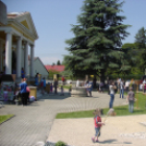 Gyereknap - Hansági Múzeum