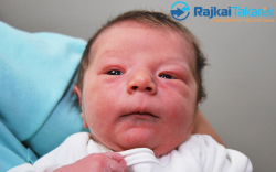 Szabó Zalán Kende, 2920 gr. Újrónafő