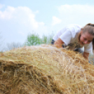 Parasztolimpia 2013 - 1 (Fotó: Nagy Mária)