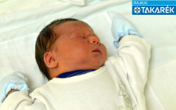 Nagy Bendegúz, Mosonszolnok