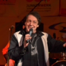 Szigetköz Ízei, Vármegye borai Fesztivál (péntek) (Fotó: Horváth Attila)