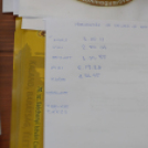 Cserkész Piknik a Wittmann parkban (fotó: Horváth Attila)