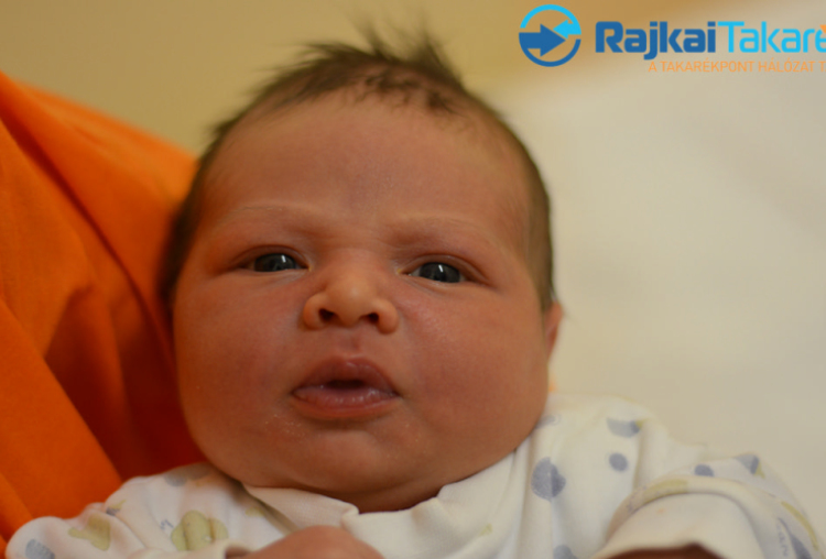 Baranyai Nimród Zsolt, 4200 gr. Csorna