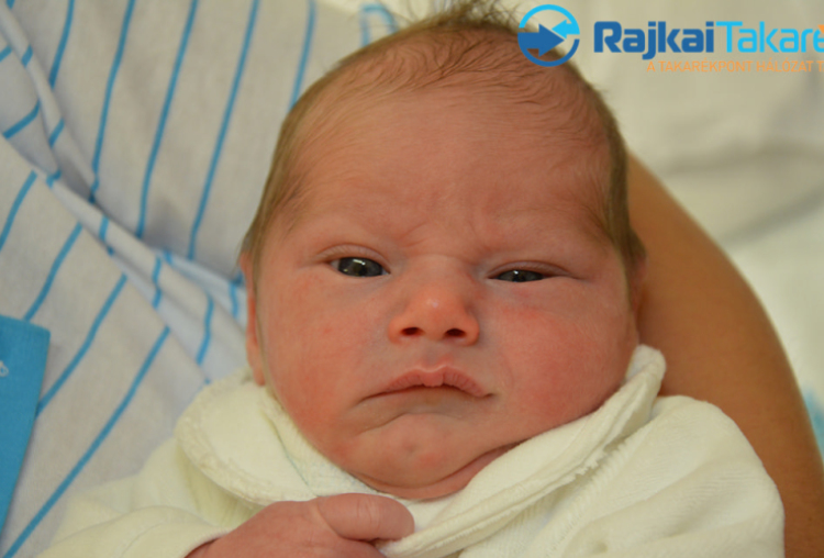 Schwendtner Bence, 2910 gr. Halászi