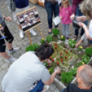 Apró kezek, csodakertek kertépítő verseny (Fotó: Horváth Attila)