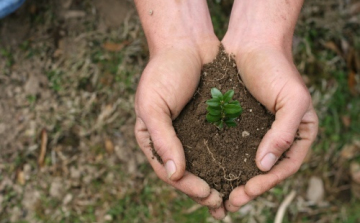 Növényvédőket oktattak