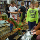 Lackfi János Mosonmagyaróváron