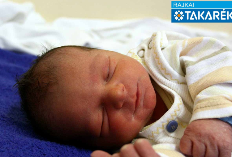 Kámán Zétény, Sopron