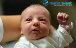 Madai Flóra Csepke, Sopron