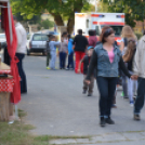 Szigetköz ízei, vármegye borai fesztivál - péntek (Fotó: Nagy Mária)