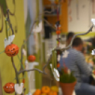 Pillangó Óvoda és Mini Bölcsőde - Családi nap