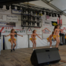 Szigetköz ízei, Vármegye borai Fesztivál 3 nap, 140 Éves Mosonmagyaróvár Város Tűzoltósága (Fotó: Bánhegyi István)