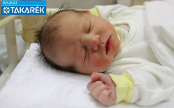 Radits Balázs, Mosonmagyaróvár