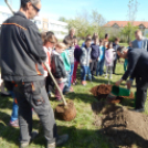 Faültetés a Föld Napja alkalmából