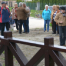 Gyalogos Lajta Híd ünnepélyes átadása (Fotó: Bánhegyi István)