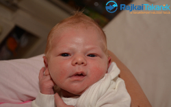 Buday Dávid, 3620 gr. Halászi