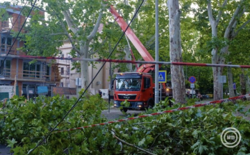 Vihar - OKF: csaknem háromezer viharkárt számoltak fel a katasztrófavédelem tűzoltóegységei
