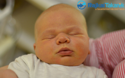 Knoll Ármin, 4270 gr. Mosonmagyaróvár