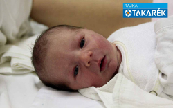 Bene Csanád, Darnózseli