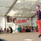 Szigetköz ízei, vármegye borai fesztivál / VÁRMEGYE SZÉPE - VÁRMEGYE HANGJA (Fotó: Horváth Attila)