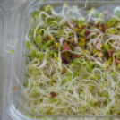 Kult Gála a Kult-Utcában (Fotó: Horváth Attila)