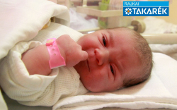 Vécsei Csenge Hanna, Máriakálnok