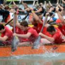 Voluta 2 nap (Fotó: Stipkovits Veronika és Bánhegyi István)