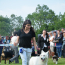 CAC kutyakiállítás (Fotó: Nagy Mária)