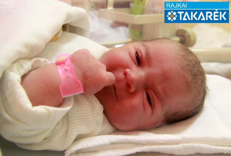 Vécsei Csenge Hanna, Máriakálnok