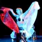 X. Jubileumi Hastánc Gála (Fotó: Bánhegyi István)