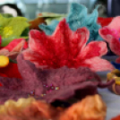 II. Szigetközi Gyógynövénynapok (Fotó: Stipkovits Veronika)