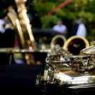 Moson Big Band koncert, Garden party