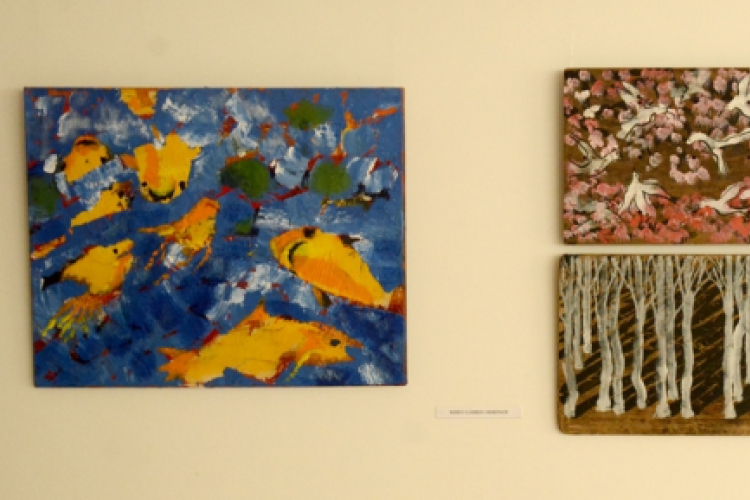 Szigetközi tájak és hangulatok