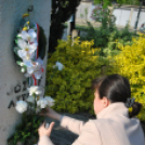 Költészet napi koszorúzás a József Attila szobornál (Fotó: Nagy Mária)