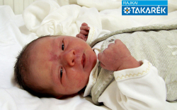 Forál Balázs, Máriakálnok