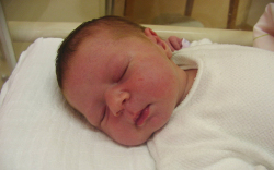 Tóth Melitta-3690-Móvár