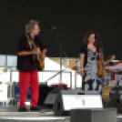 Nyári Fesztivál – Szent István Napok 2017 - Wahl Hungária Színpad