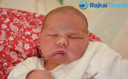 Csizmadia Frigyes, 4530 gr. Dunasziget