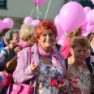 Lajta hídi séta 2015 (fotó: Patács Judit)