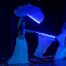 Japán Kert (Fotó: Horváth Attila)