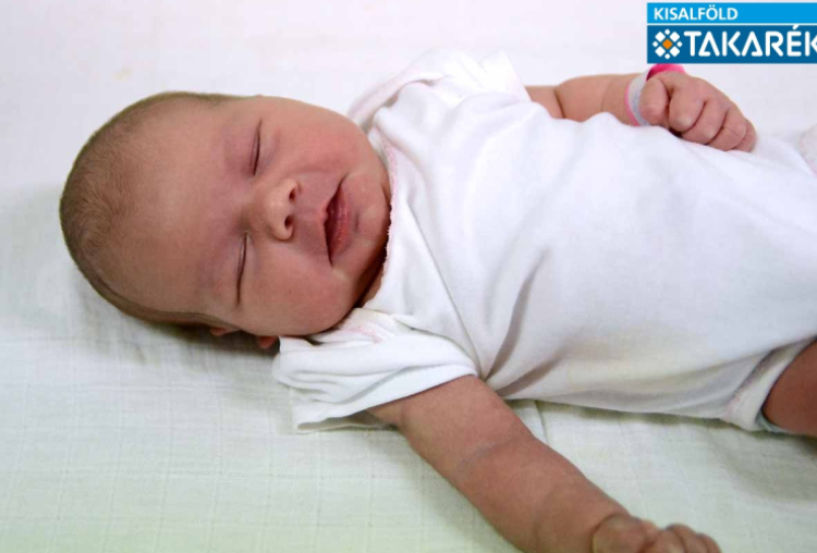 Rigó-Kobsz Szófia, Halászi