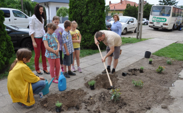 Madarak és Fák Napja Hegyeshalomban