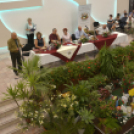 Termény- és virágkiállítás 