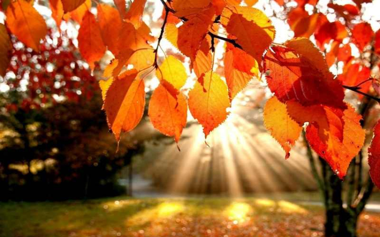 Folytatódik az enyhe idő