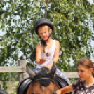 Pillangó Óvoda lovas nap és piknik (Fotó: Stipkovits Veronika)